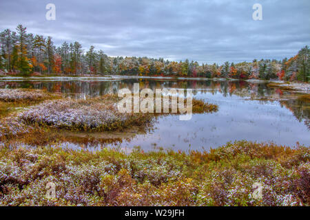 Autumn Wetland Landscape. Beautiful fall color landscape of the northern Michigan wetlands with a fresh dusting of snow. Tahquamenon Falls State Park Stock Photo