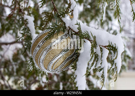 Outdoor Christmas Decor on Cedar tree surrounded by fresh fallen snow. Stock Photo