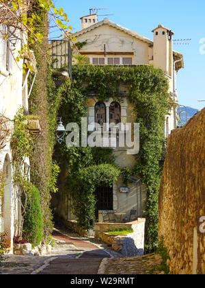 Green vine growing over Villa on cobblestone street, St Paul de Vence, Provence-Alpes-Côte d'Azur, French Riviera, France Stock Photo