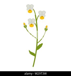 Field violet flower flat icon, wildflowers, plant vector illustration isolated on white background Stock Vector