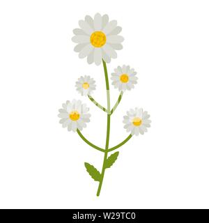 Chamomile flowers flat icon, wild flowers, plant vector illustration isolated on white background Stock Vector