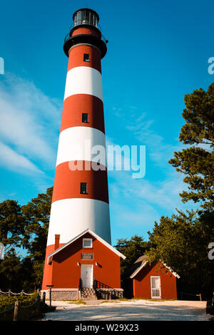 portrait view of the lighthouse on Assateague Island in Virginia Stock Photo