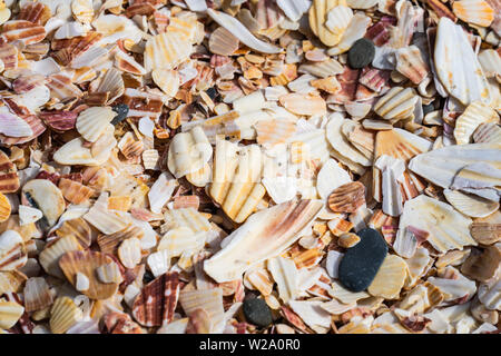 Shell covered Fenella Beach in Peel, Isle of Man.Natural background Stock Photo