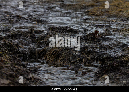 mud in the rain creating mini waterfall and river Stock Photo - Alamy
