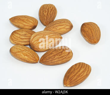 good and bad almonds isolated on white background