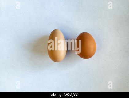 A very long, narrow egg besides a normal egg, both brown. laying on a white piece of paper, comparisson of egg shapes Stock Photo
