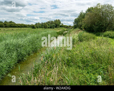 The Mustdyke, a medieval fenland drainage dyke, Flag Fen, Peterborough, Cambridgeshire, England, UK Stock Photo