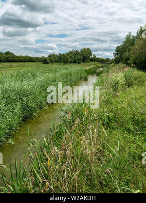 The Mustdyke, a medieval fenland drainage dyke, Flag Fen, Peterborough, Cambridgeshire, England, UK Stock Photo