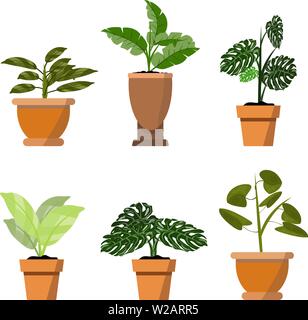 Potted plants isolated on white. Vector set of six green tropical plants in pot illustration for interior and cartoon props Stock Vector