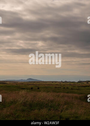 A view over moorland with a mountain in the distance, near Rhosneigr, Anglesey, Wales, UK Stock Photo