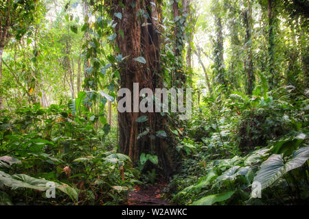 A little insight into the wonderful country in Central America Stock Photo