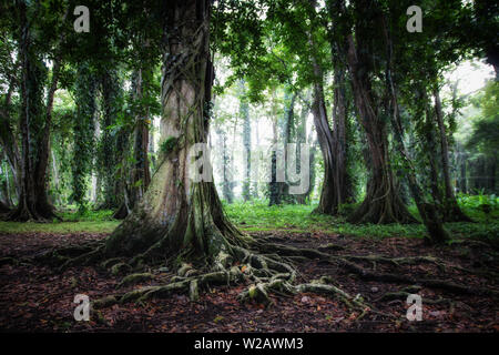 A little insight into the wonderful country in Central America Stock Photo