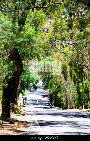 Road leading through natural Australian bushland and native eucalyptus gum trees in Adelaide Hills South Australia. Stock Photo