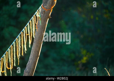 Closeup decoration of multi-colored threads on a ribbon hanging on a wooden branch, soft focus Stock Photo