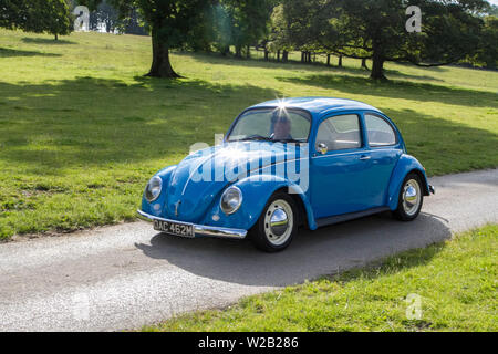 OAC462M VW beetle historics, vintage motors and collectibles 2019; Leighton Hall transport show, collection of cars & veteran vehicles of yesteryear. Stock Photo