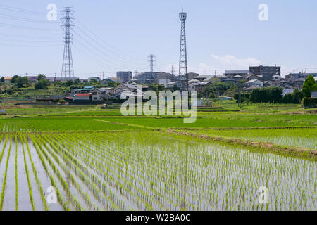 Electricity pylons over flooded rice-fields (paddy fields) in rural Kanagawa, Japan. Stock Photo