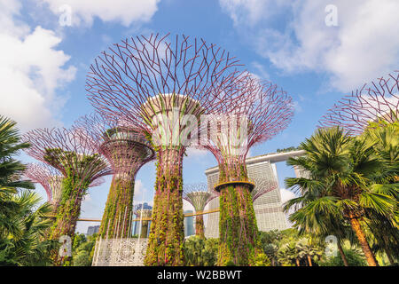 MARINA BAY, SINGAPORE - JANUARY 6, 2019 : Singapore city skyline at Supertree Grove of Gardens by The Bay Stock Photo