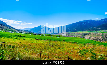 Fertile farmland along the Fraser River as it flows through the canyon to the town of Lillooet in the Chilcotin region on British Columbia, Canada Stock Photo