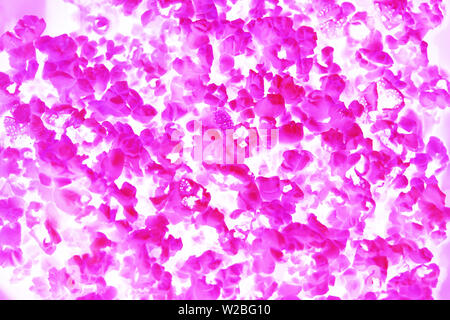 Creative fashion concept with flying neon red popcorn on white background. Levity food. Stock Photo