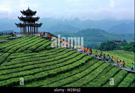 (190708) -- BEIJING, July 8, 2019 (Xinhua) -- Aerial photo taken on July 7, 2019 shows tourists going sightseeing at a tea garden at Wujiatai Village in Xuanen County of Enshi Tujia and Miao Autonomous Prefecture, central China's Hubei Province. (Photo by Song Wen/Xinhua) Stock Photo