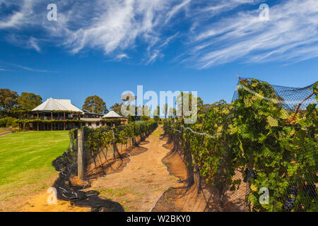 Australia, Western Australia, The Southwest, Margaret River Wine Region, Cowaramup, Vasse Felix Winery Stock Photo