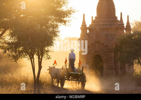 Bullock cart & pagoda, sunset, Bagan, (Pagan), Myanmar, (Burma) Stock Photo