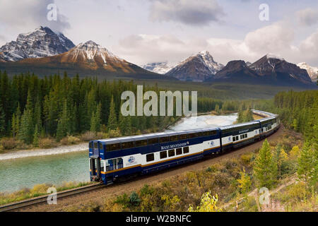 The Rocky Mountaineer tourist passenger train at Morant's Curve on the CPR line along the Bow River near Lake Louise in Banff National Park, Alberta, Canada. Stock Photo