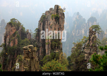 Zhangjiajie National Forest Park, Hunan, China Stock Photo