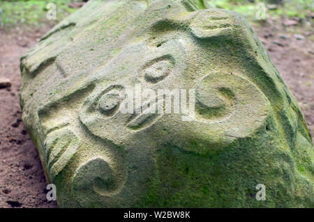 Costa Rica, Guayabo National Park And Monument, Pre-Columbian Archeological Site, Petroglyph, Amphibian, Rock Engraving Stock Photo