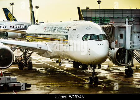 Singapore Airlines Airbus A350 loading freight cargo into the hold at ...