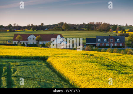 Denmark, Funen, Hindsholm Peninsula, Viby, elevated view of farm, springtime Stock Photo