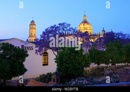 Bodegas Tio Pepe and The Cathedral of San Salvador at Dusk, Jerez de la Frontera, Cadiz Province, Andalusia, Spain Stock Photo