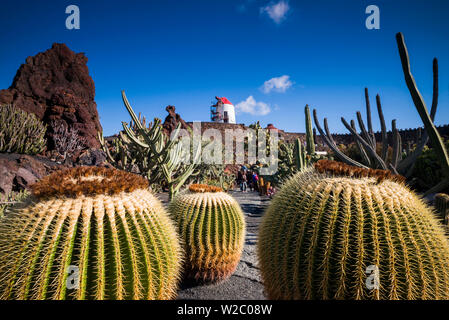 Spain, Canary Islands, Lanzarote, Guatiza, Jardin de Cactus, botanical park  designed by Cesar Manrique, cactus plant detail Stock Photo - Alamy