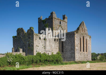 Ireland, County Wexford, Hook Peninsula, Campile, Dunbrody Abbey, 12th century Stock Photo