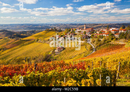 Vineyards, Treiso, nr Alba, Langhe, Piedmont (or Piemonte or Piedmonte), Italy Stock Photo