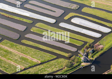 Windmill & Polder or re-claimed lands, North Holland, Netherlands Stock Photo