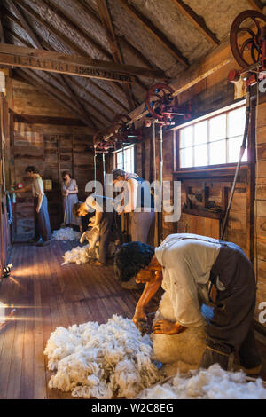 New Zealand, North Island, Masterton, The Wool Shed, National Museum of Sheep Shearing, interior Stock Photo