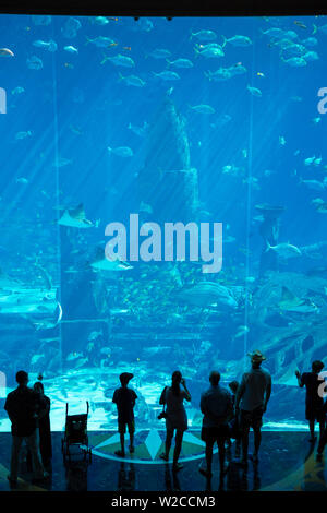 Aquarium in the Atlantis Hotel, Palm Jumeirah, Dubai, United Arab Emirates Stock Photo