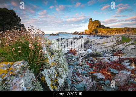 UK, Scotland, Argyll and Bute, Islay, Lagavulin Bay, Dunyvaig (Dunyveg) Castle Stock Photo