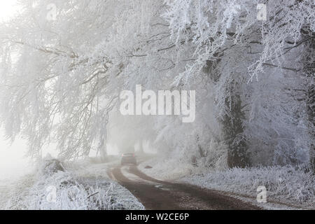 Car in country lane with frost covered trees, nr Wotton, Gloucestershire, UK Stock Photo