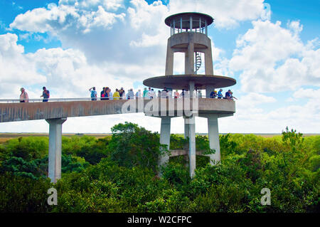 Florida, Everglades National Park, Shark Valley, Shark Valley Observation Tower Stock Photo