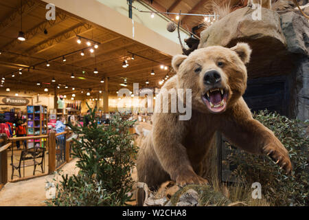 USA, Nebraska, Omaha, stuffed animal display, Cabela's Sporting Goods Stock Photo