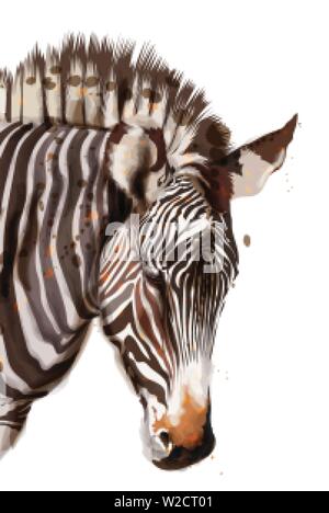 Zebra Vector watercolor isolated on white. Painted style illustration Stock Vector