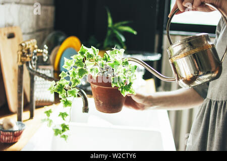 Young woman in grey dress sprays water on houseplant in the kitchen, slow life Stock Photo