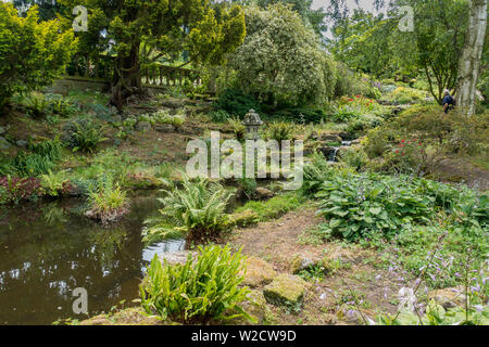 Pond,Stream,Japanese Garden,Mount Ephraim,House,Garden,Faversham,Kent Stock Photo