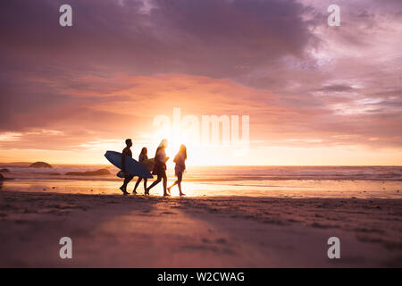 People walking on beach during sunset. Couple on vacation walking on beach carrying surfboards. Stock Photo