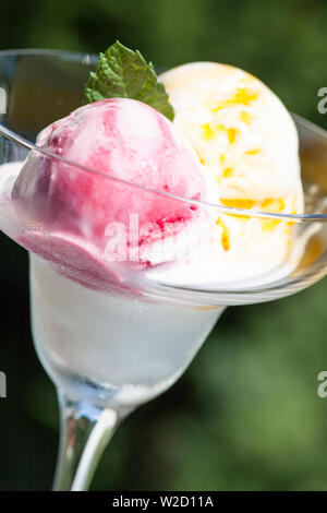 ice cream sundae: Two different scoops of fruit ice cream in a glass bowl outdoors Stock Photo