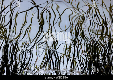 Reflection on water Stock Photo