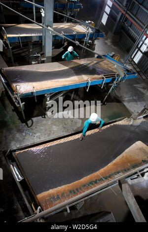 Mining titanium mineral sands. Materials Separation Process Plant. Metallurgical operators working at wet gravity Wilfley vibrating or shaking tables. Stock Photo