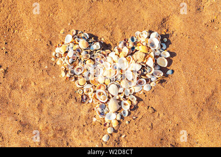 Heart of seashells on the sand. View from above. Texture, pattern. Stock Photo